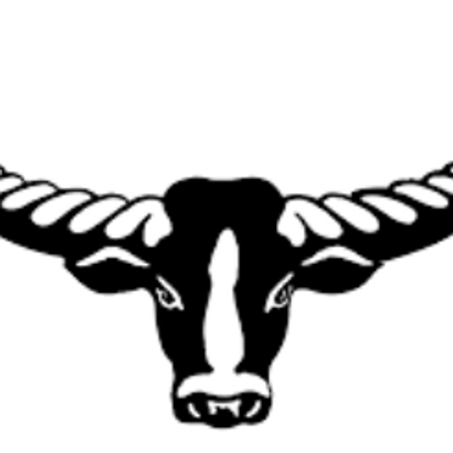 Daly River Buffalos Football Club
